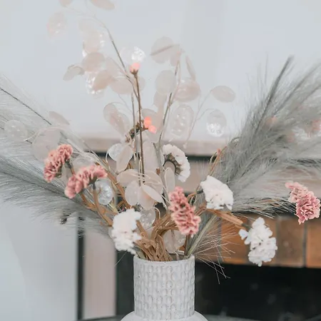 Apartman Domus Lucia 1 *