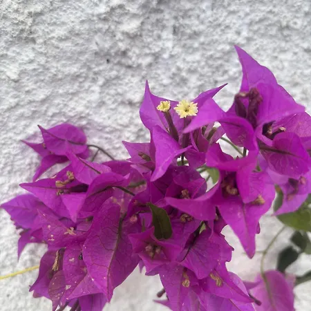 Apartman Domus Lucia 1 Santa Lucia