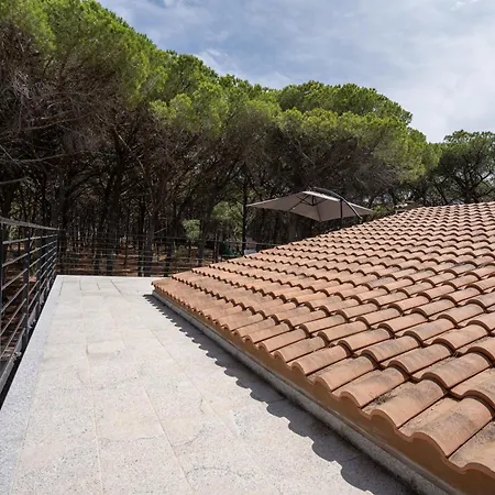 Domus Lucia Apartment *